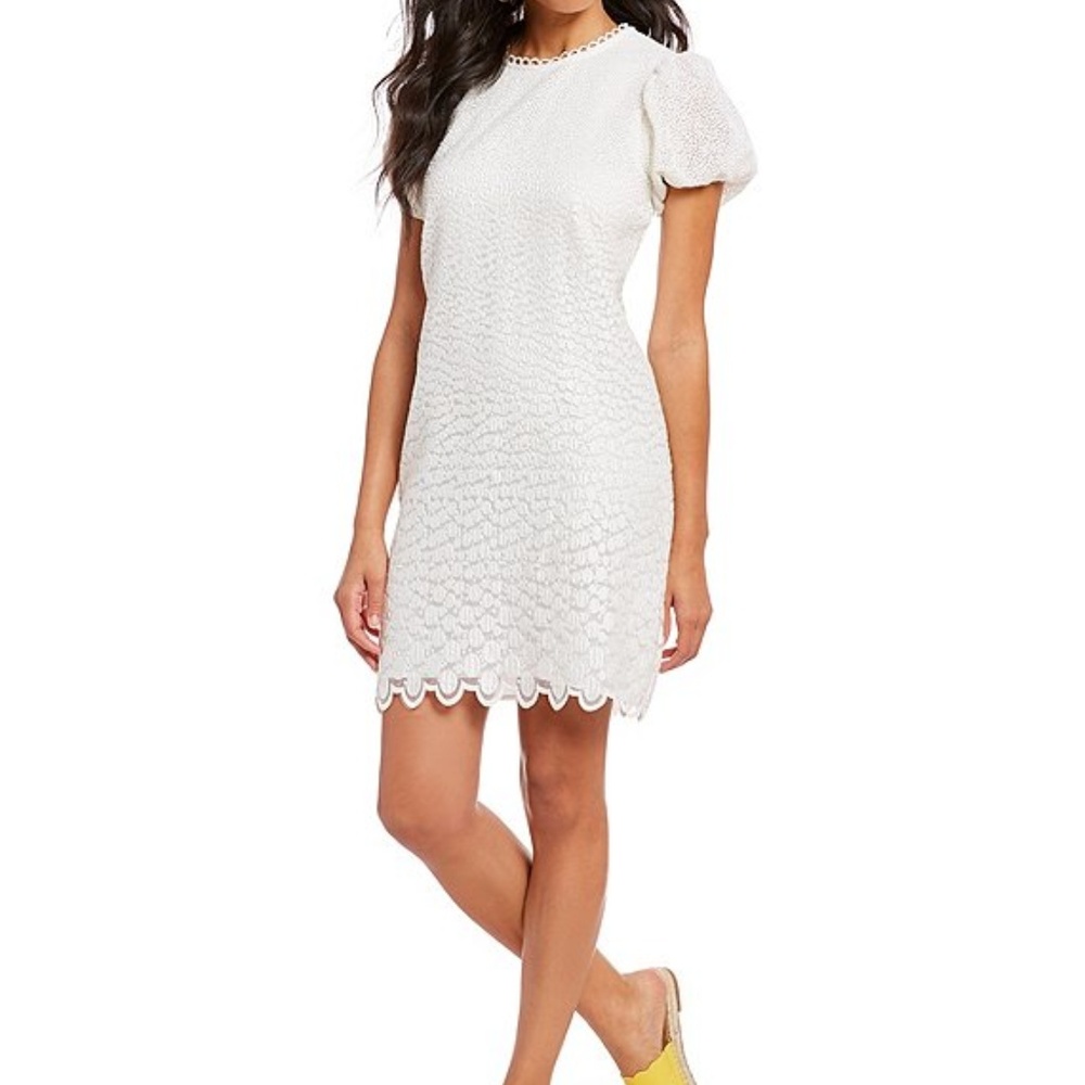 Embroidered Lace Puff Sleeve A-Line Dress